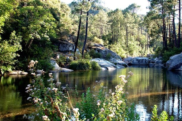 La Rivière de l'Oso